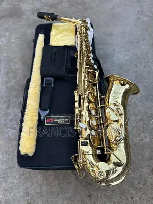 Dy Usa Pro Alto Saxophone