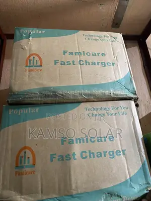 50a Famicare Battery Charger