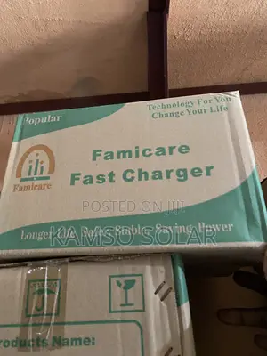 30ah Famicare Battery Charger