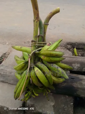 Direct From My Farm