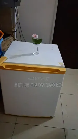 Bed Side Freezer