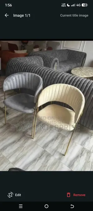 Dinning Chair / Restaurants Chair