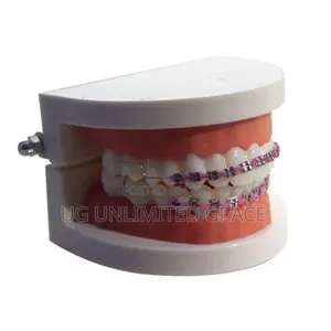 Teeth Bracelet