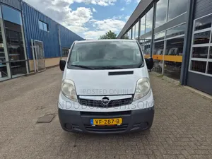 Opel Vivaro 2013 White