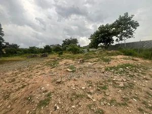 7000sqm Flat Land at Jabi for Sale Mix-Used