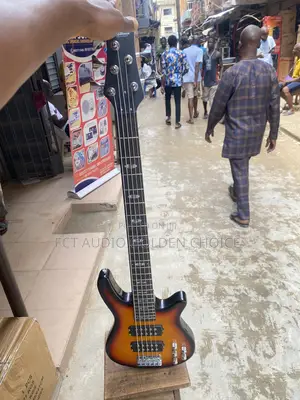 Well Sound 5string Passive Guitar