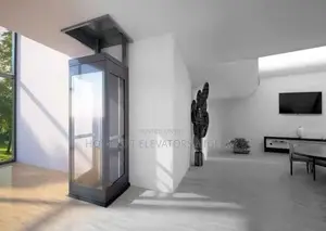 Panoramic Glass Home Lift