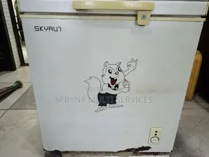 Skyrun Deep Freezer
