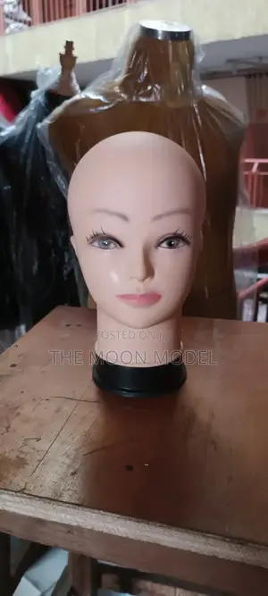 Hair/Wig Display Head