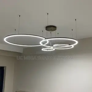 Modern Led Home Deco Chandelier Ring Light Circle Fixtures for Home