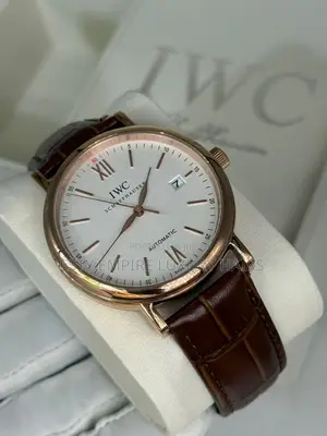 Iwc Schaffhausen Quality Luxury Men Genuine Leather Wristwatch