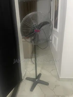 Standing Fan