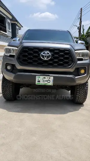 Toyota Tacoma 2010 Gray