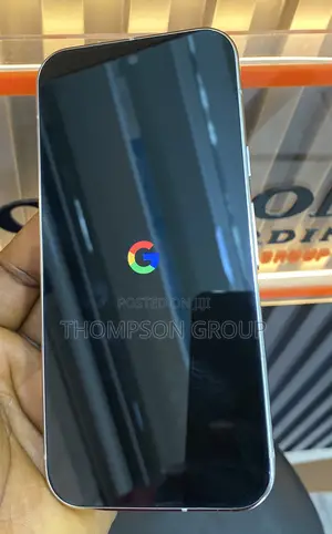 Google Pixel 9 Pro 256 GB Silver
