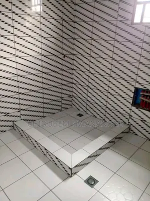 Bathroom Tile Installation. How Do U See It My Great People