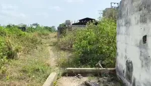 555 Square Metres Land With Structures on It