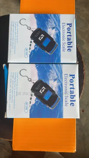 Electronic Portable Scale