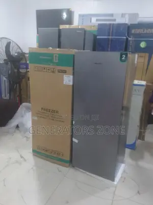 Hisense Re-189dr 190l Standing Freezer With 6 Storage Shelves