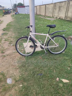 Giant Bicycle (White)