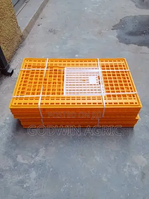 Transfer Crete for Birds