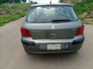 Peugeot 307 2005 Gray