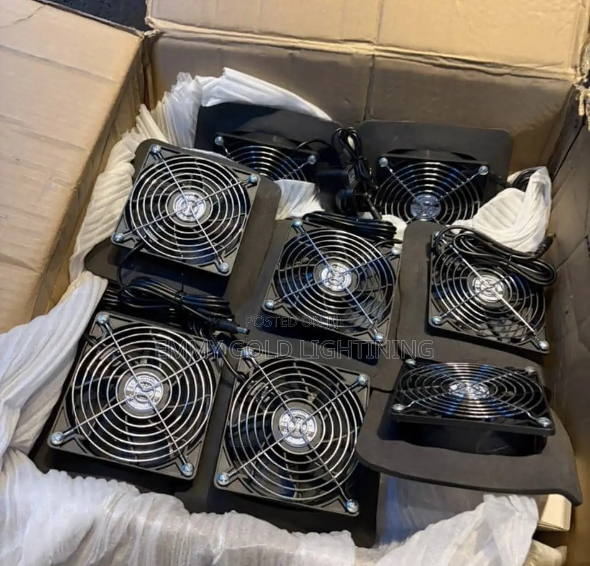 Gorilla Fan