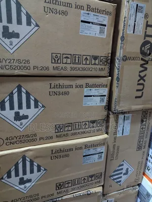 Luxwatt 3kwh 24v Lithium Ion Solar Inverter Battery Available in Stock