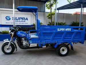New Tricycle 2026 Blue