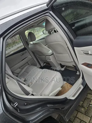 Lexus RX 2010 Gray