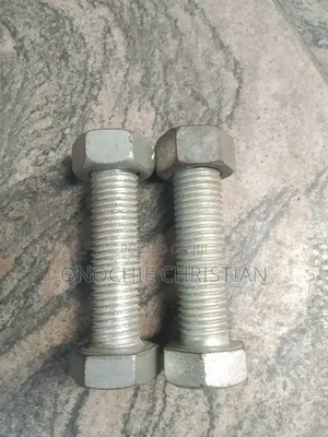 Boit Nut and M24x100
