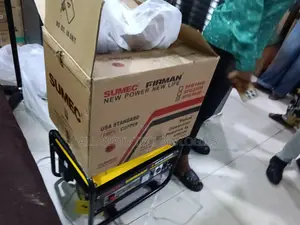 Petrol Powered Firman Spg3000 Generator