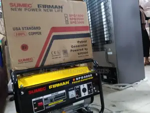 Heavy Duty Firman Spg3000 Generator