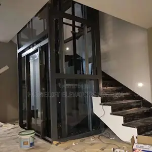 Home Elevator House Lift Elevator for Home Dealer Company
