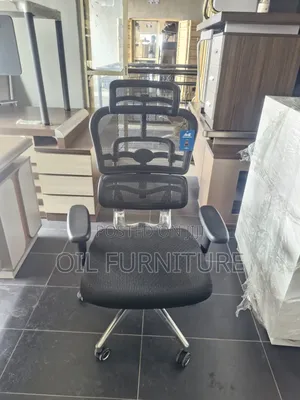 Orthopaedic High-Back Executive Mesh Swivel Chair for Boss/Ceo