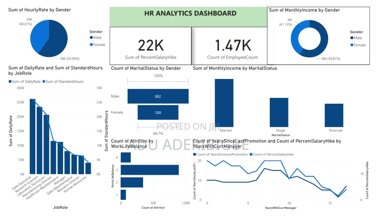 Data Analyst