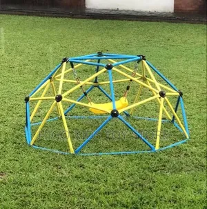 Climbing Dome and Swing