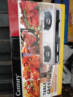 Century Gas Cooker Stainless 2 Burner