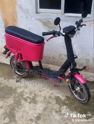 Electric Bike