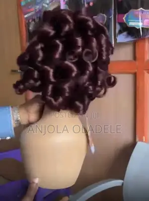 Wig Hair and Accessories