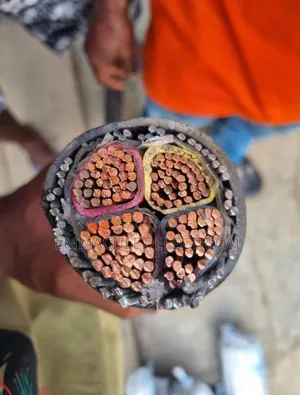 150mmx4core Amored Cable