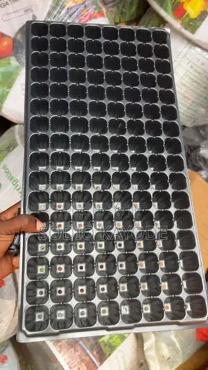 Seedling Nursery Tray (Multi-Cell Germination Tray)