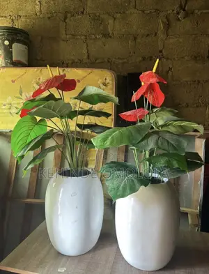 Flower Vase