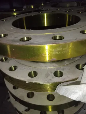 12x300 Wn Flange Rf