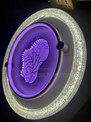 Ceiling Light