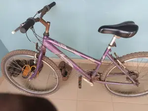 Sports Bicycle