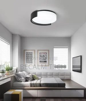 Ceiling Fitting