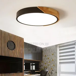 Ceiling Fitting