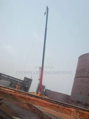 100, 80 50 Tons Crane for Hire