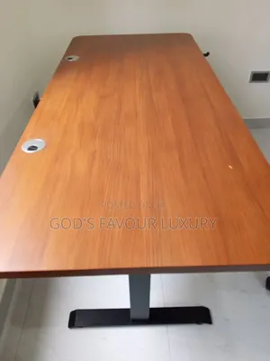 Electric Adjustable Sit to Stand Adjustable Desk