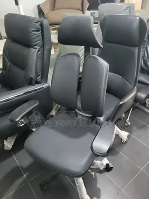 Ergonomic Orthopedic Kidney Chair